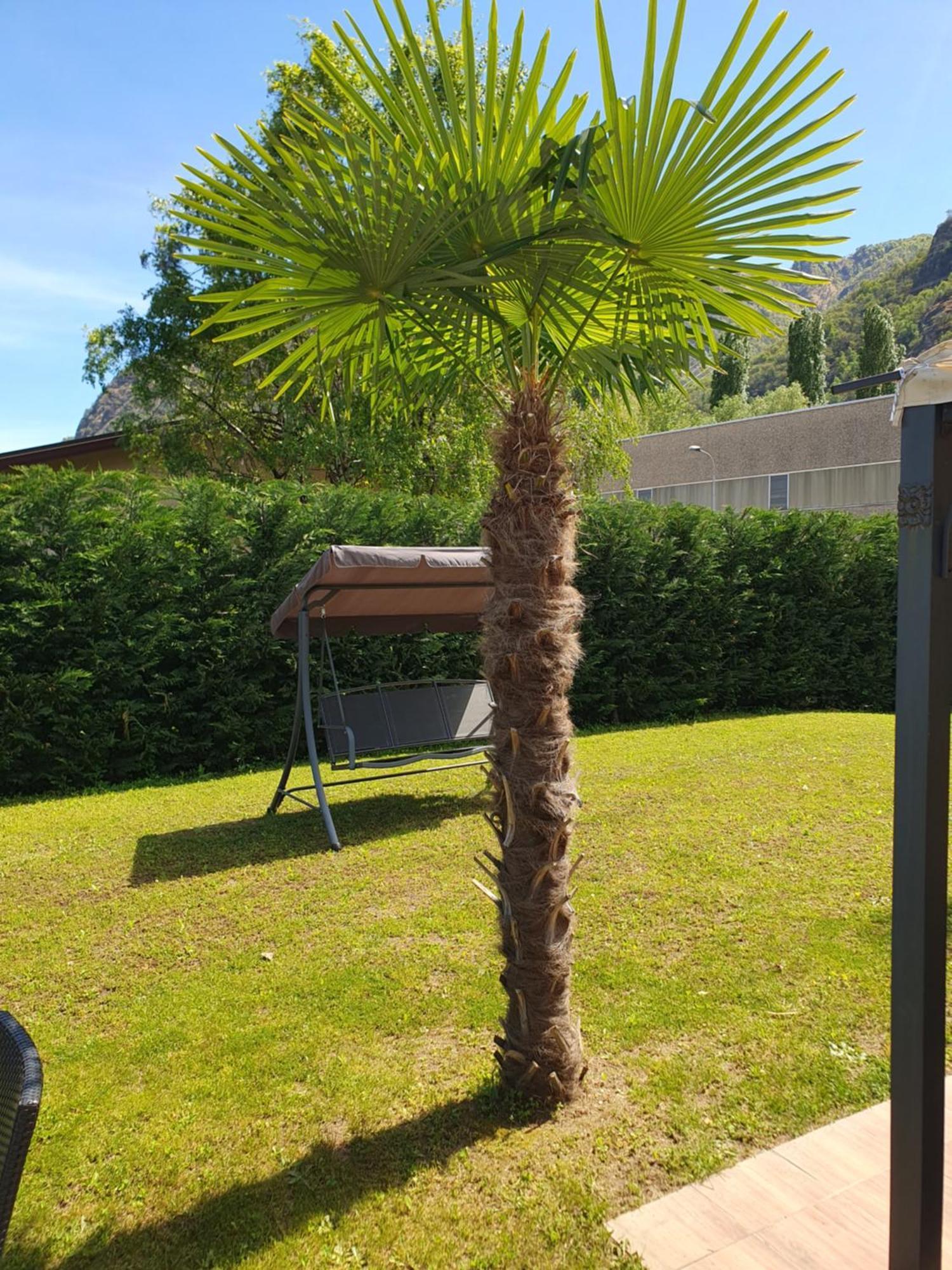 Villa Mariel Lago Maggiore Gravellona Toce Buitenkant foto